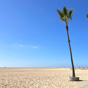 Meet your Posher, Merita